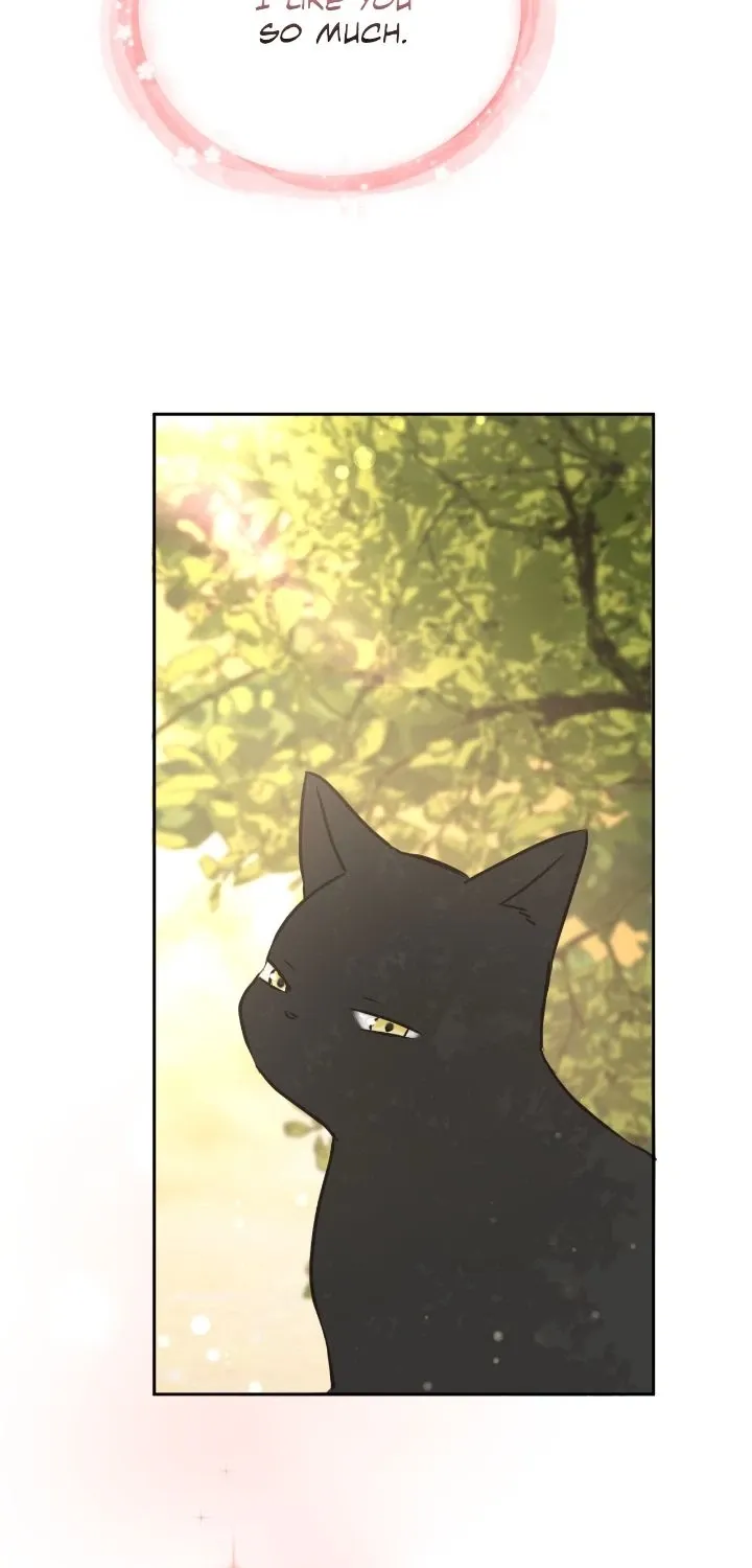 I adopted a male lead from prison shelter Chapter 84 page 64 - 