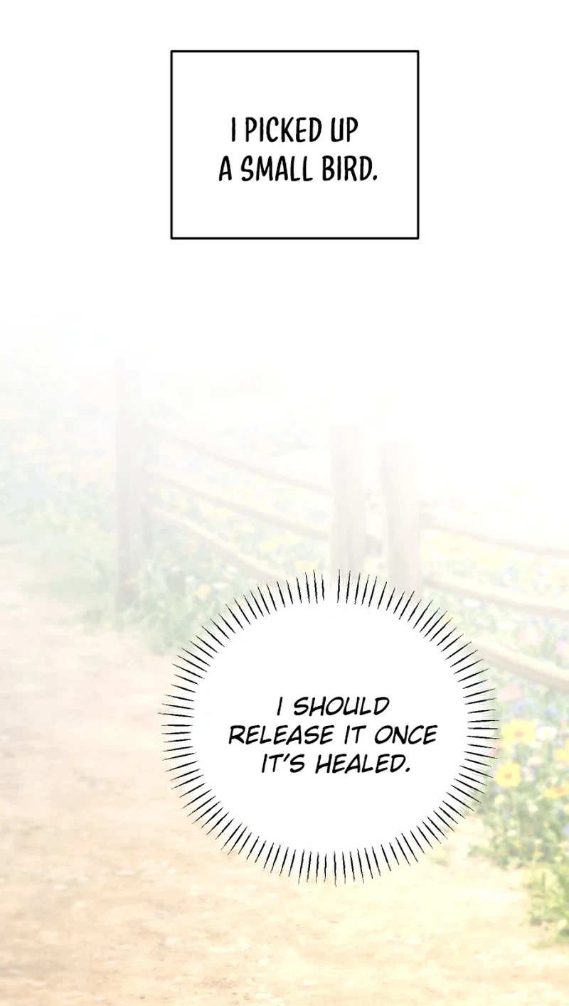 I Adopted the Male Lead from the Shelter 〘Official〙 Chapter 104 page 11 - 