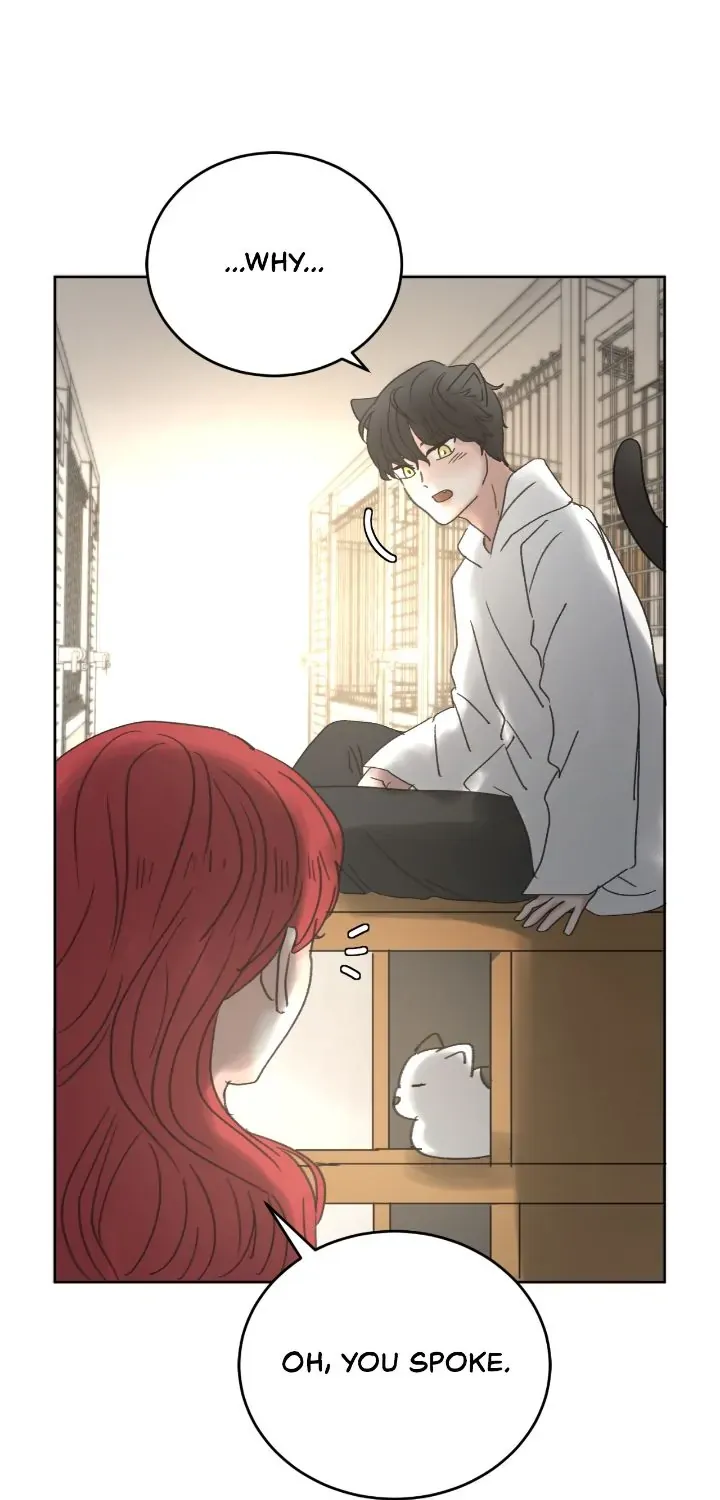 I Adopted the Male Lead from the Shelter 〘Official〙 Chapter 18 page 17 - 