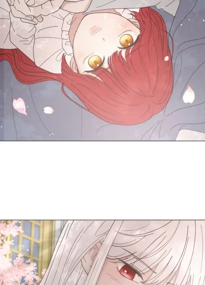 I Adopted the Male Lead from the Shelter 〘Official〙 Chapter 8 page 39 - 
