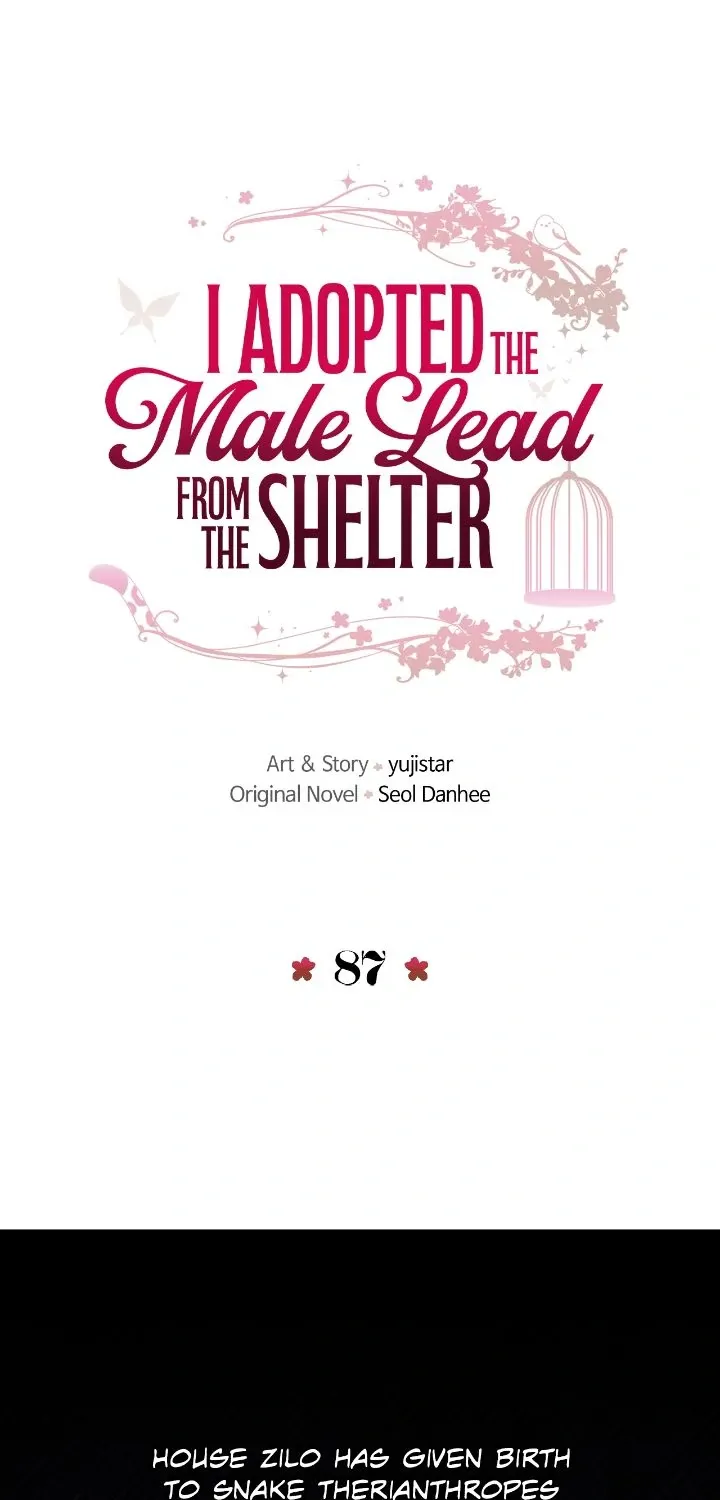 I Adopted the Male Lead from the Shelter 〘Official〙 Chapter 87 page 7 - 