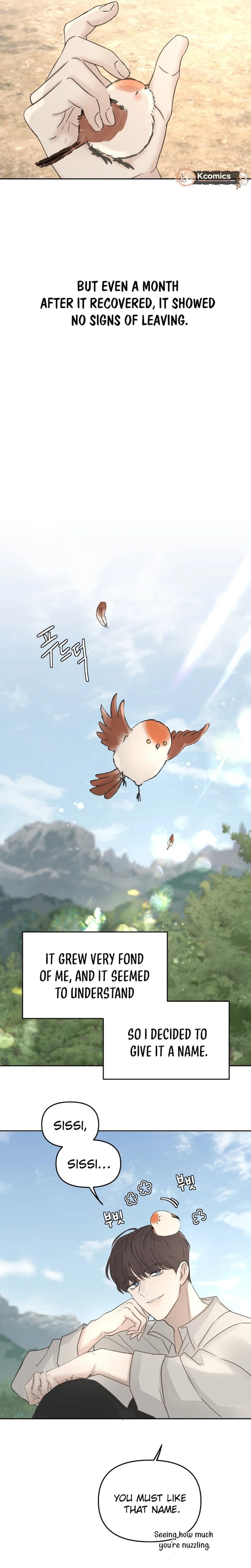 I Adopted the Male Lead from the Shelter Chapter 104 page 13 - 