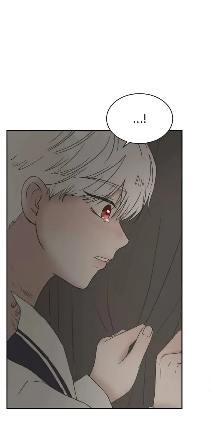 I Adopted the Male Lead from the Shelter Chapter 14 page 2 - 