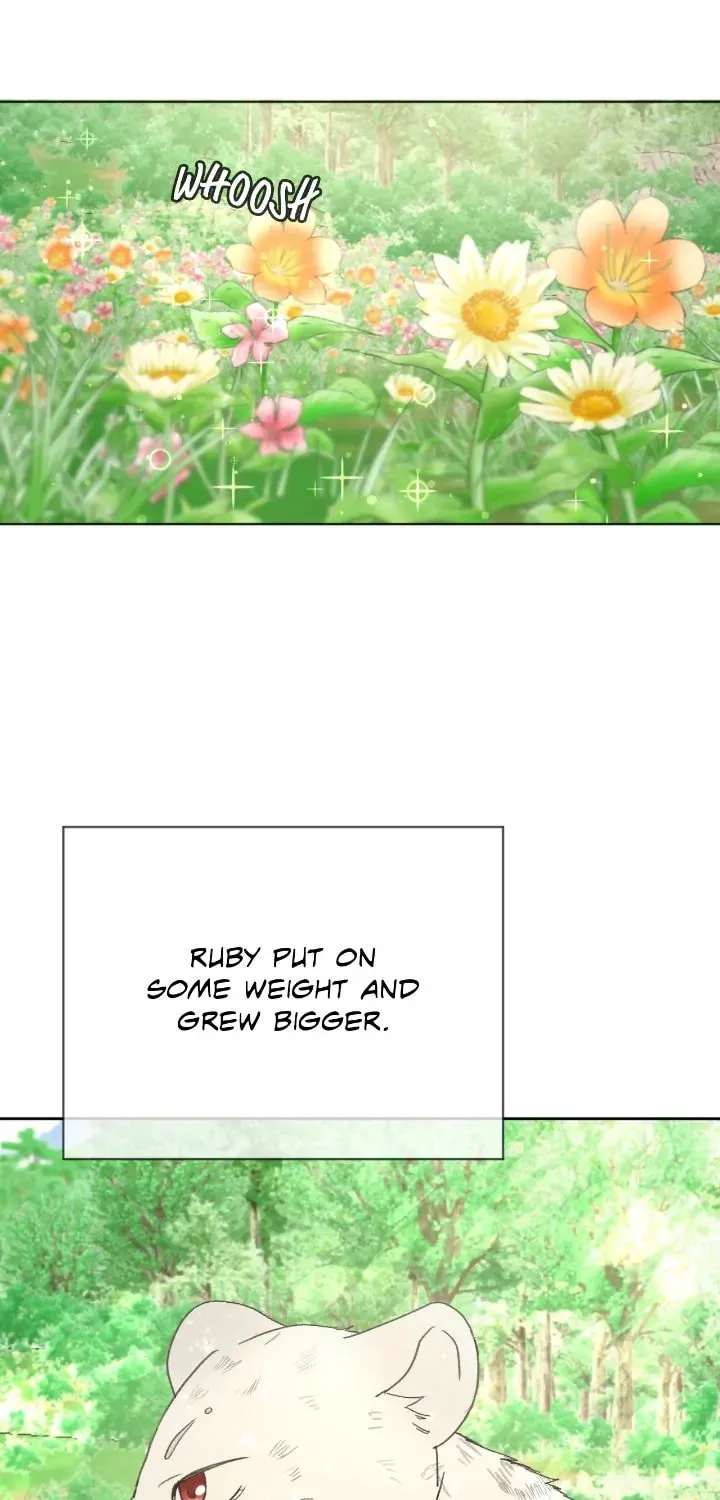 I Adopted the Male Lead from the Shelter Chapter 18 page 29 - 