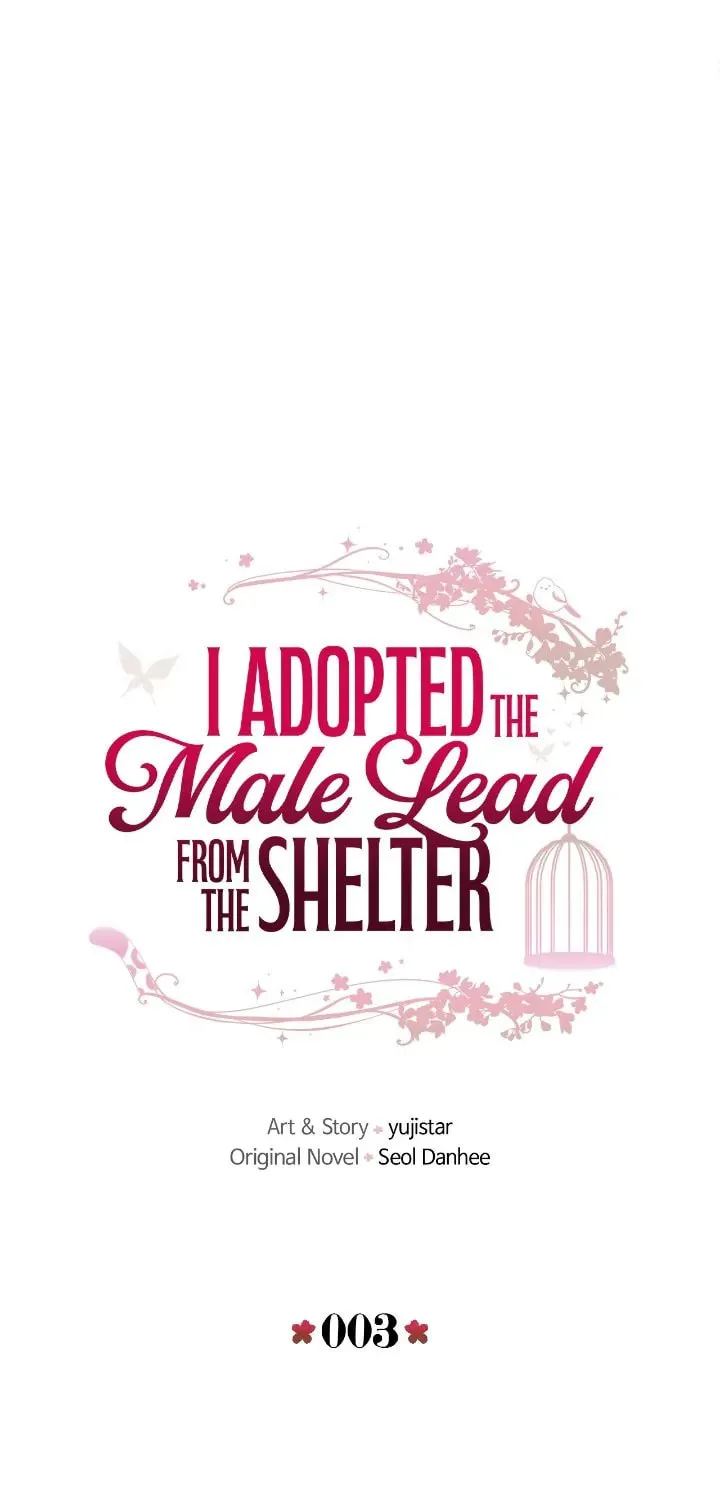 I Adopted the Male Lead from the Shelter Chapter 3 page 31 - 