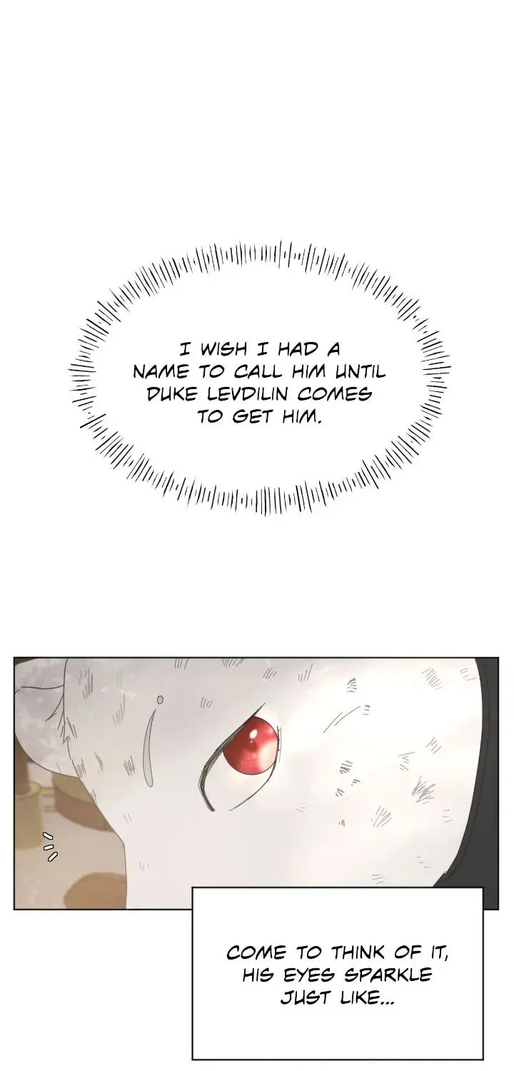 I Adopted the Male Lead from the Shelter Chapter 3 page 53 - 