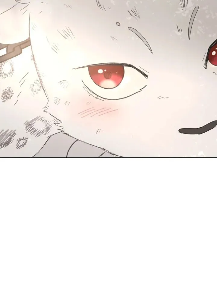 I Adopted the Male Lead from the Shelter Chapter 3 page 67 - 
