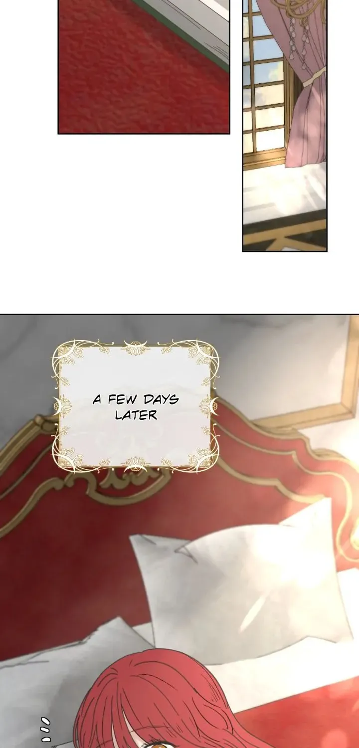 I Adopted the Male Lead from the Shelter Chapter 30 page 33 - 
