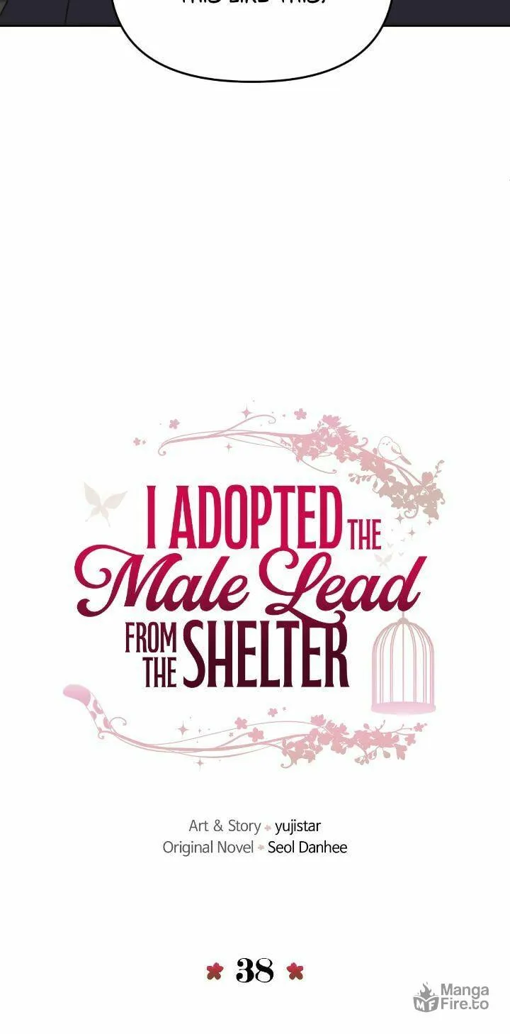 I Adopted the Male Lead from the Shelter Chapter 38 page 18 - 