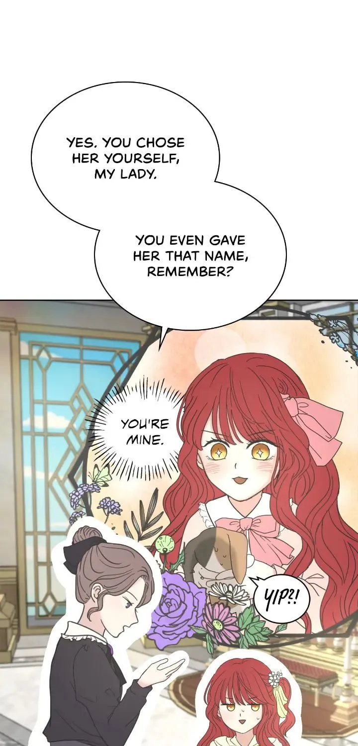 I Adopted the Male Lead from the Shelter Chapter 4 page 73 - 