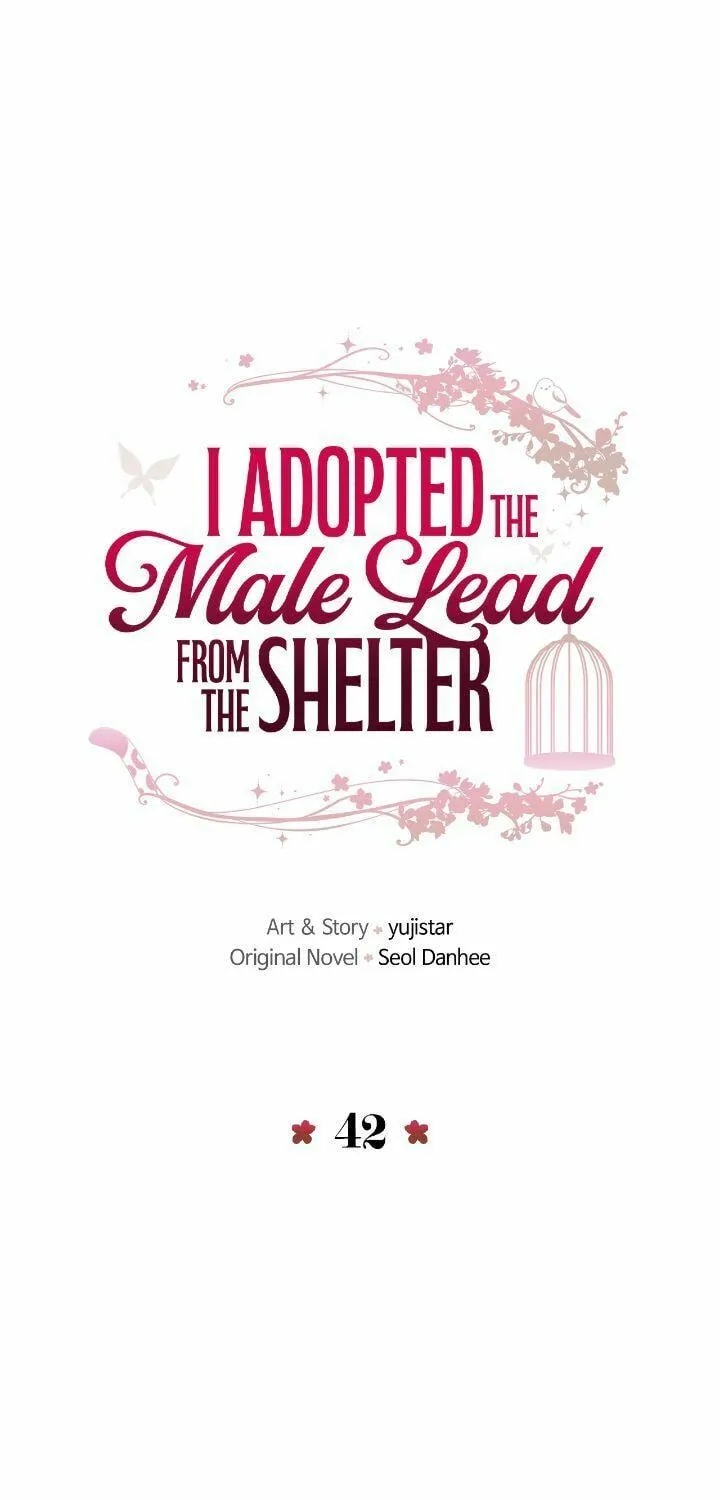 I Adopted the Male Lead from the Shelter Chapter 42 page 21 - 