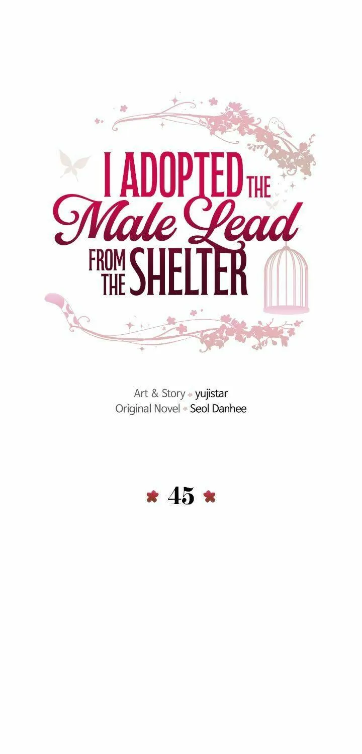 I Adopted the Male Lead from the Shelter Chapter 45 page 10 - 