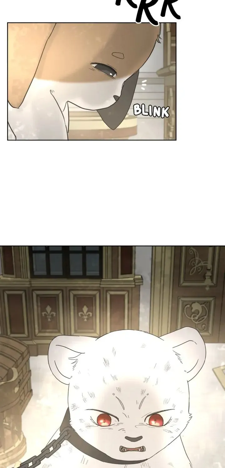 I Adopted the Male Lead from the Shelter Chapter 5 page 13 - 