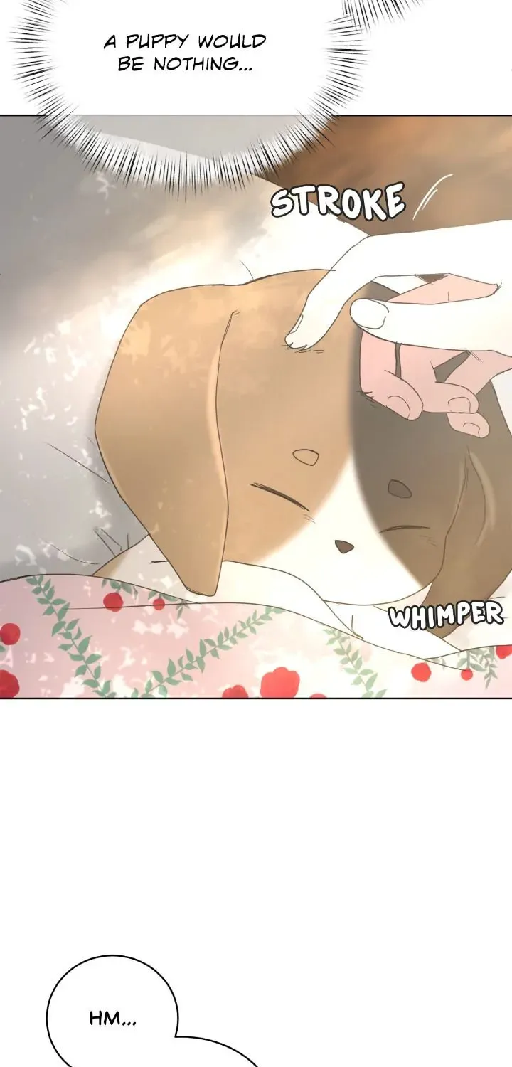I Adopted the Male Lead from the Shelter Chapter 5 page 4 - 