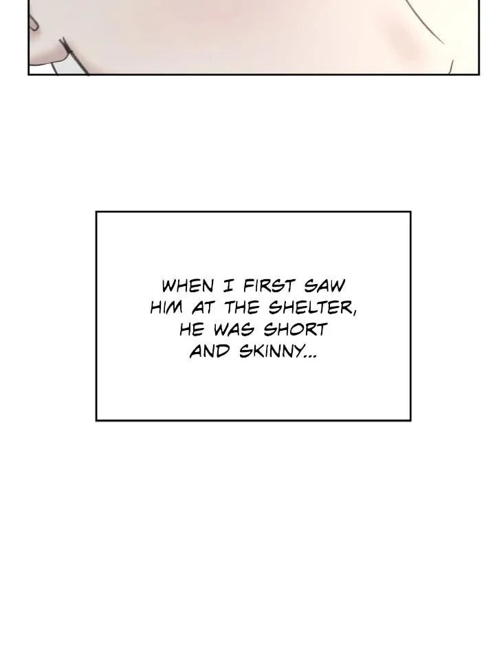 I Adopted the Male Lead from the Shelter Chapter 52 page 14 - 