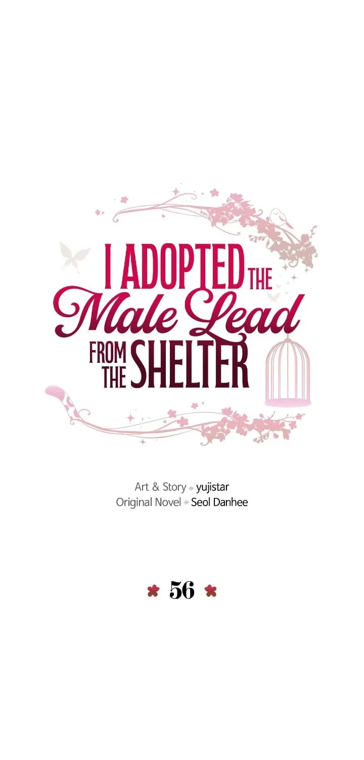 I Adopted the Male Lead from the Shelter Chapter 56 page 1 - 
