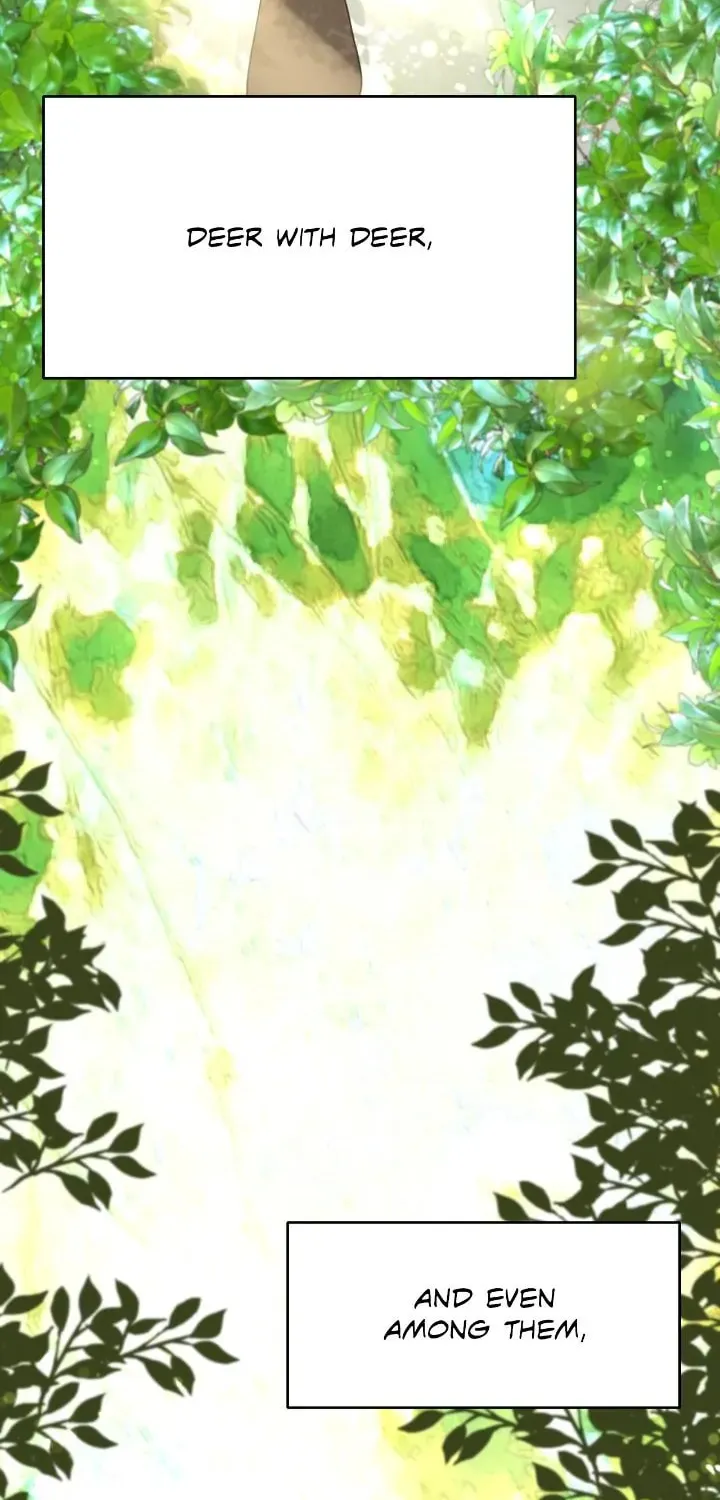 I Adopted the Male Lead from the Shelter Chapter 6 page 55 - 
