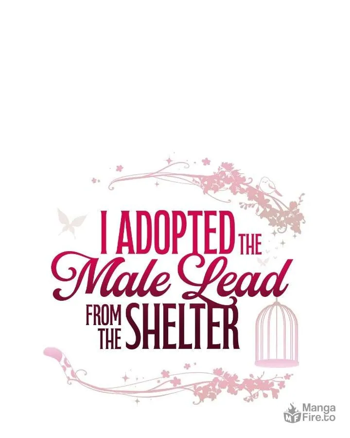 I Adopted the Male Lead from the Shelter Chapter 72 page 17 - 