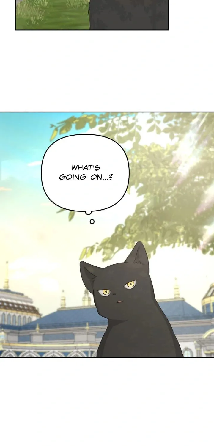 I Adopted the Male Lead from the Shelter Chapter 84 page 17 - 
