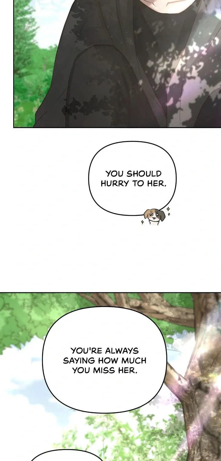 I Adopted the Male Lead from the Shelter Chapter 84 page 5 - 