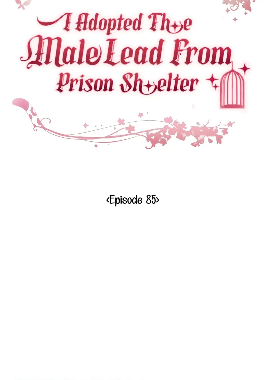 I Adopted the Male Lead from the Shelter Chapter 85 page 12 - 
