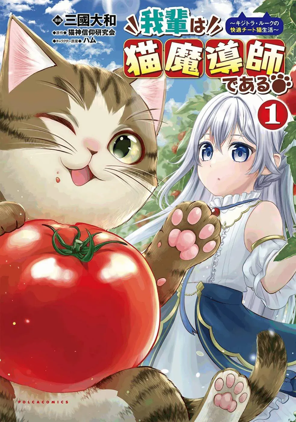I Am a Cat Sorcerer: Luke the Tabby Cat