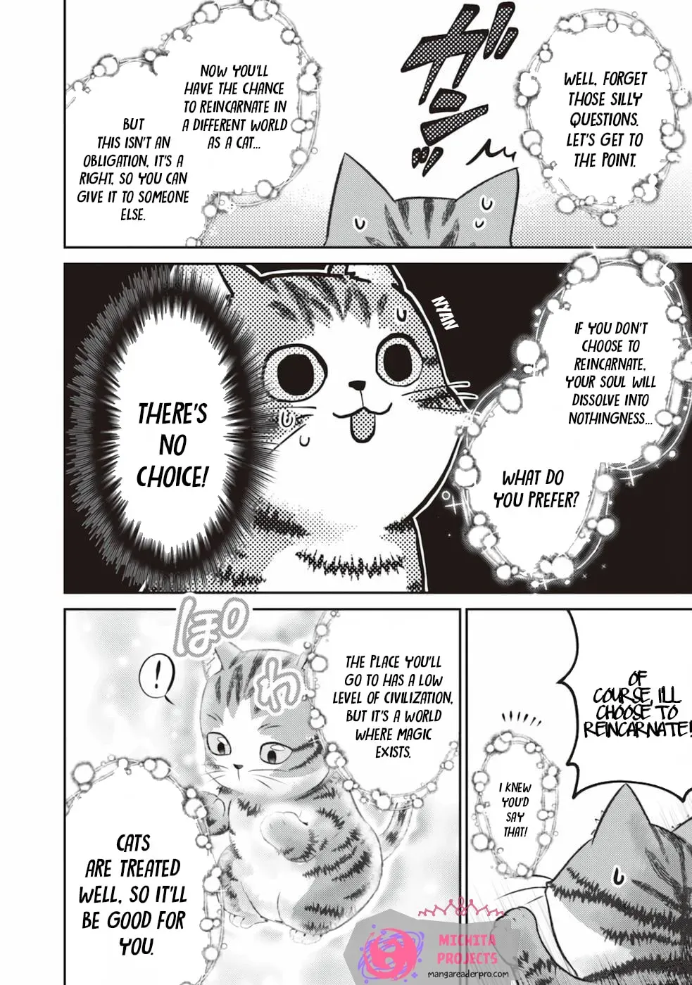 I Am a Cat Sorcerer: Luke the Tabby Cat