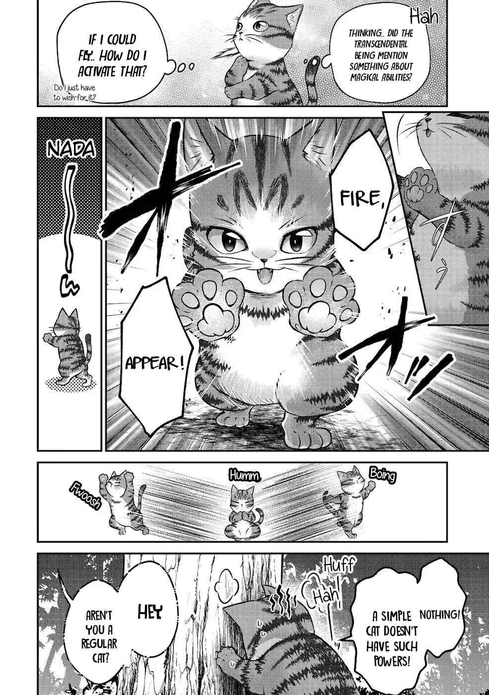 I Am a Cat Sorcerer: Luke the Tabby Cat