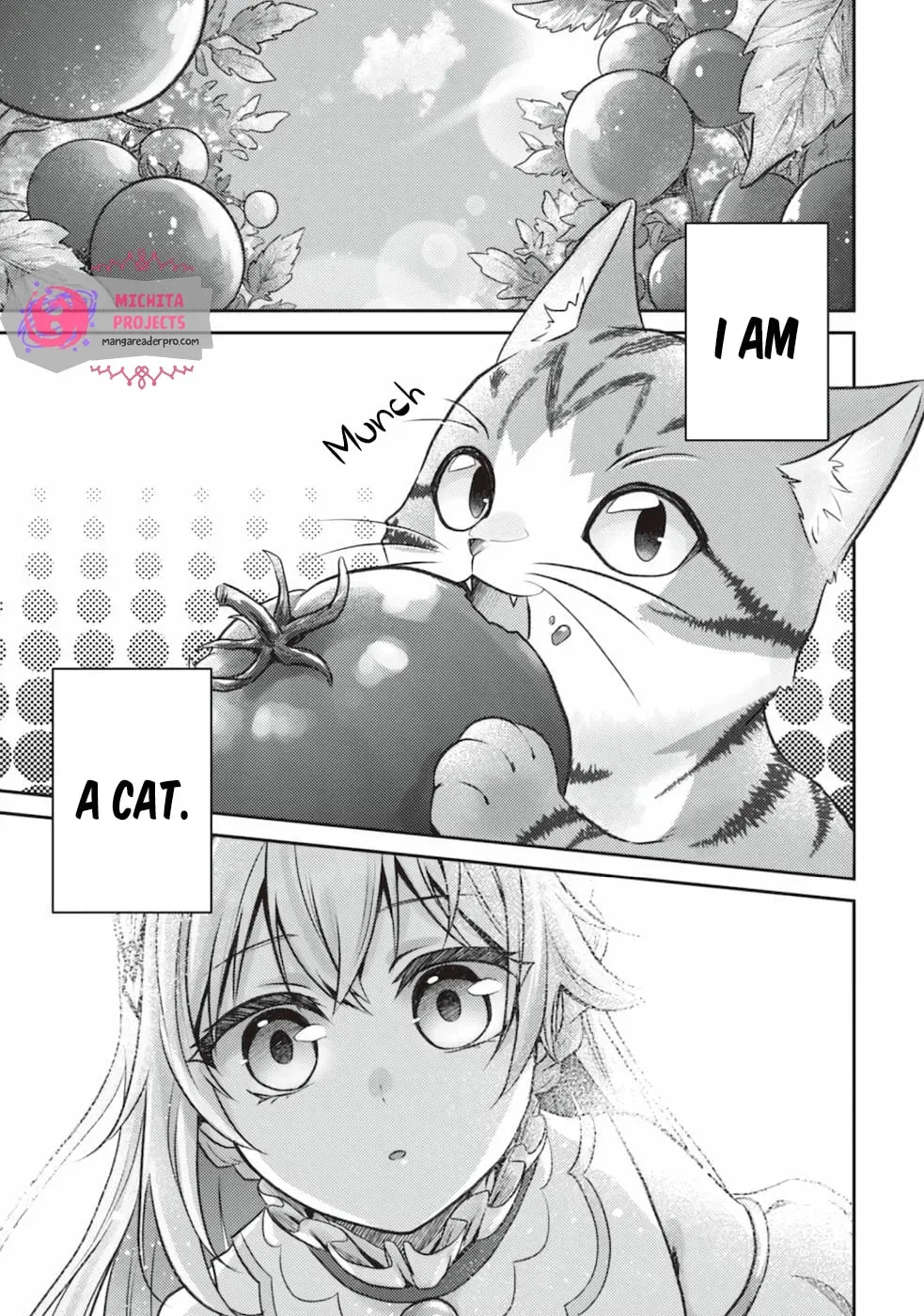 I Am a Cat Sorcerer: Luke the Tabby Cat