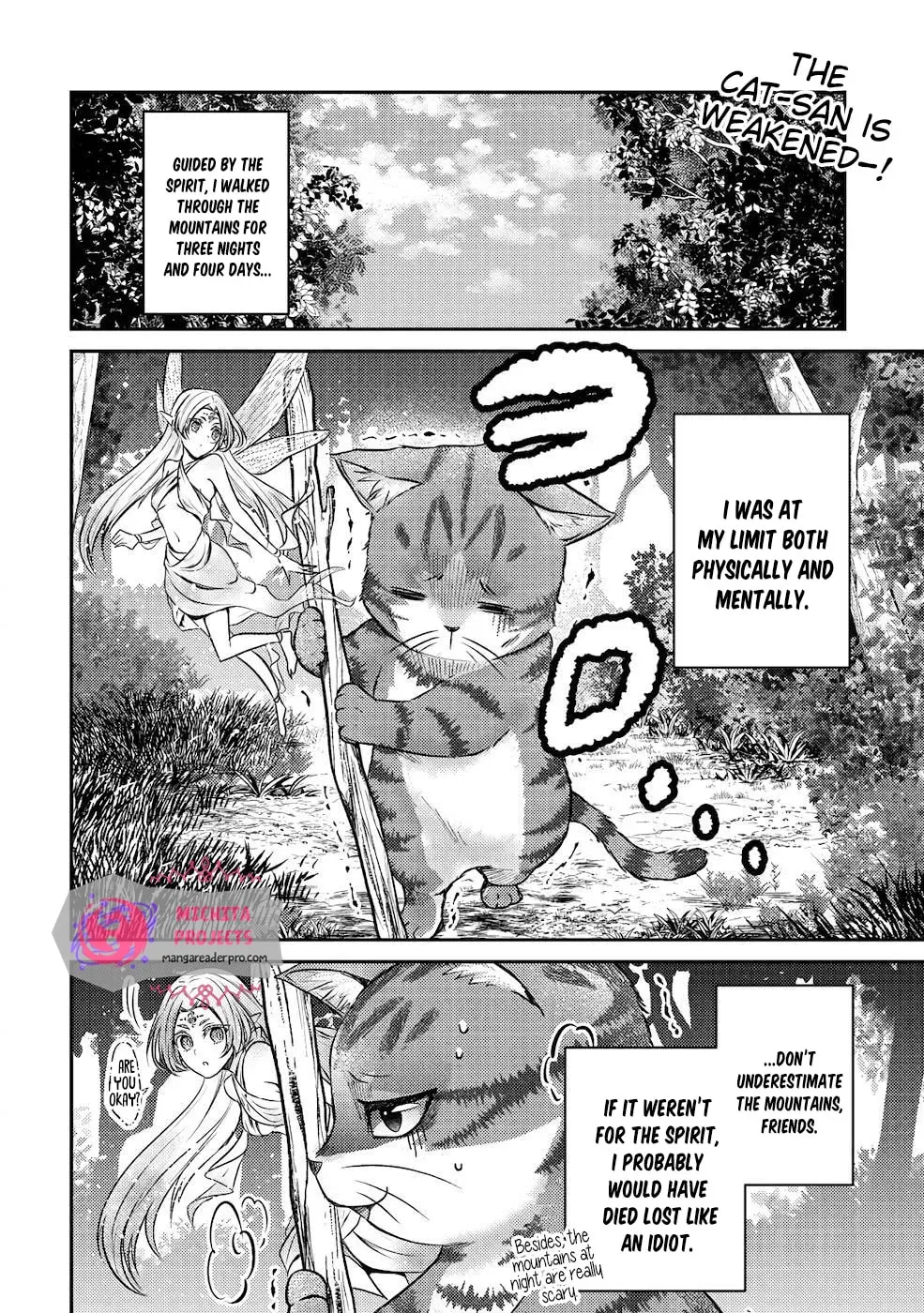 I Am a Cat Sorcerer: Luke the Tabby Cat