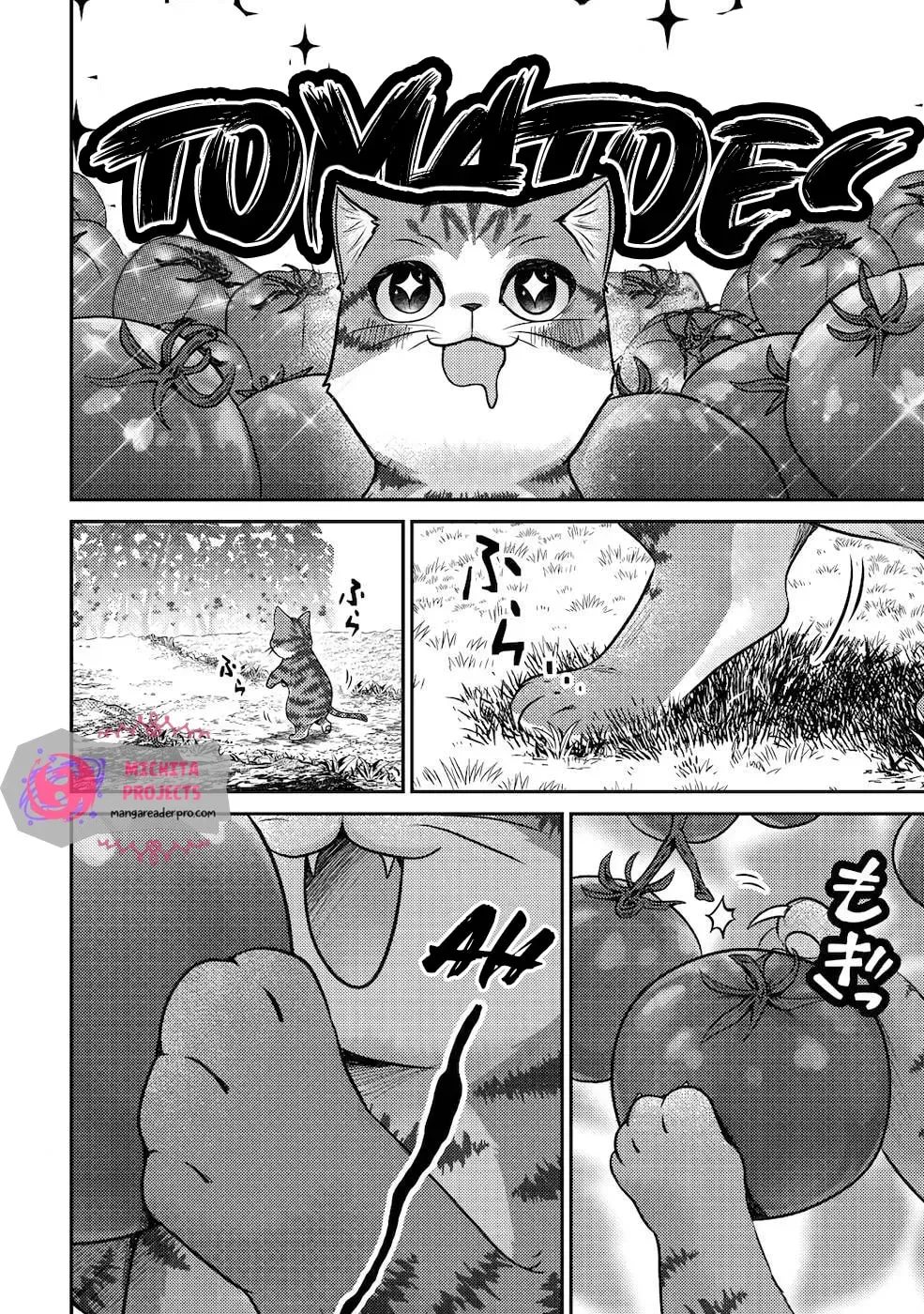 I Am a Cat Sorcerer: Luke the Tabby Cat