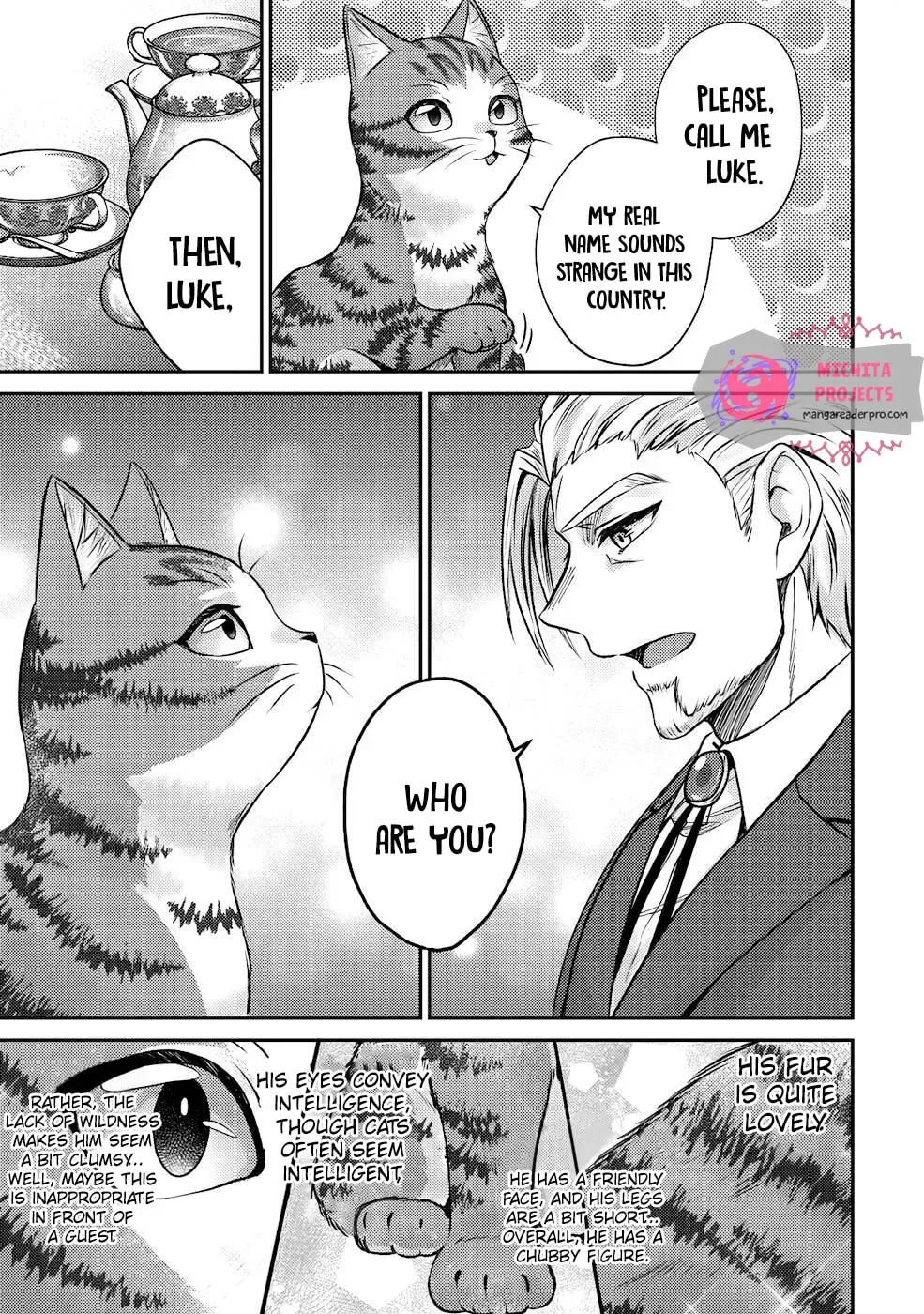 I Am a Cat Sorcerer: Luke the Tabby Cat
