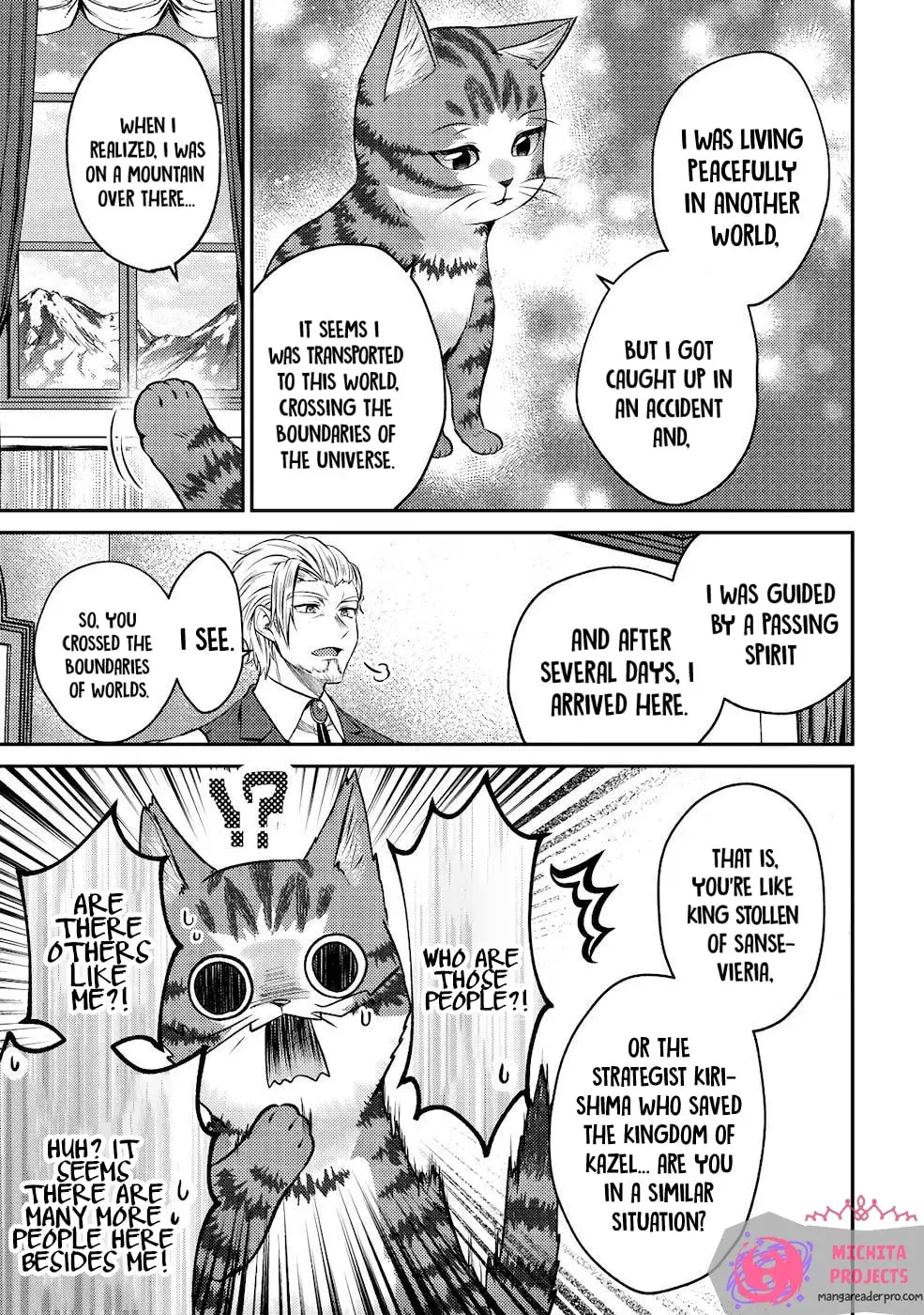 I Am a Cat Sorcerer: Luke the Tabby Cat
