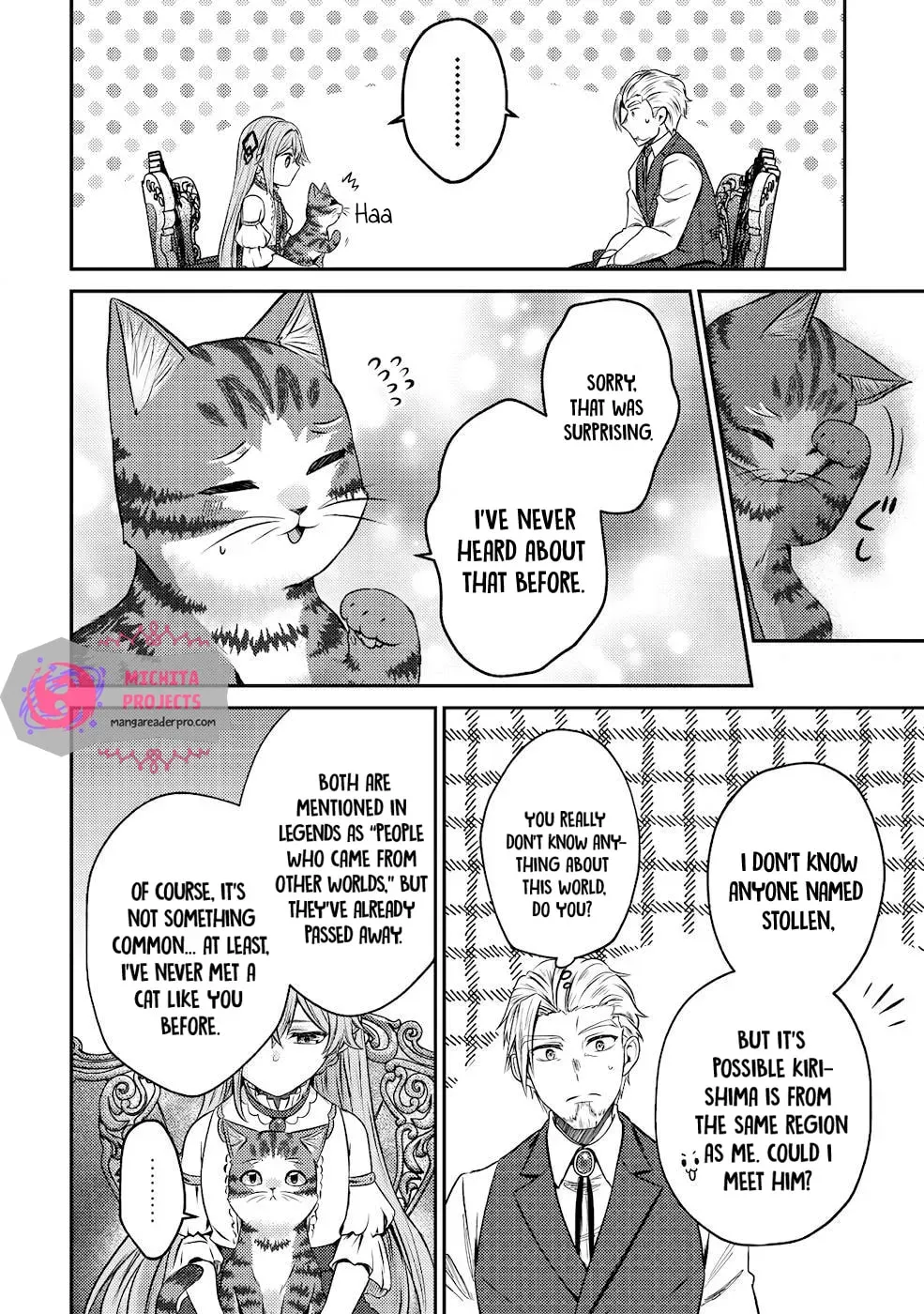 I Am a Cat Sorcerer: Luke the Tabby Cat
