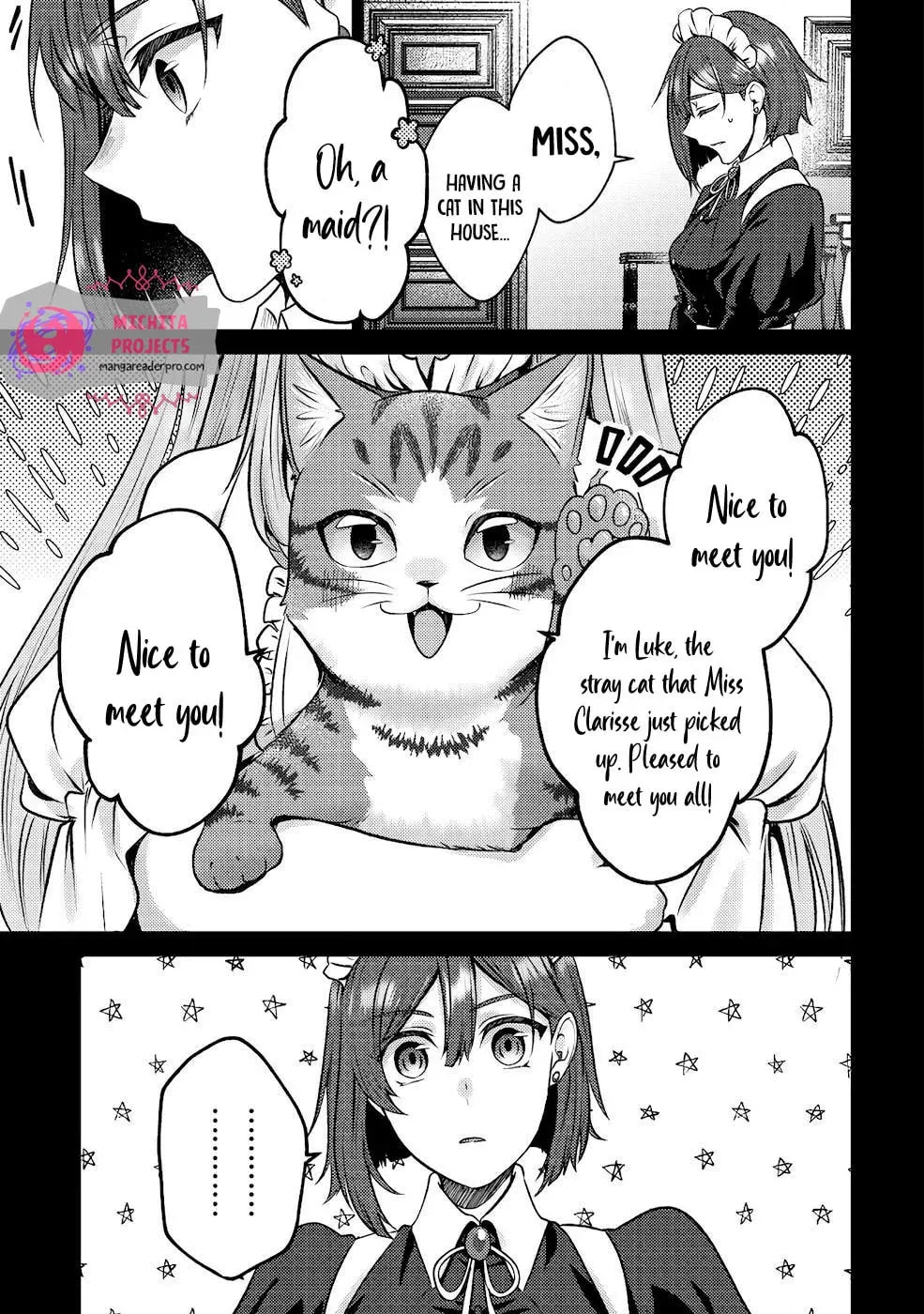 I Am a Cat Sorcerer: Luke the Tabby Cat