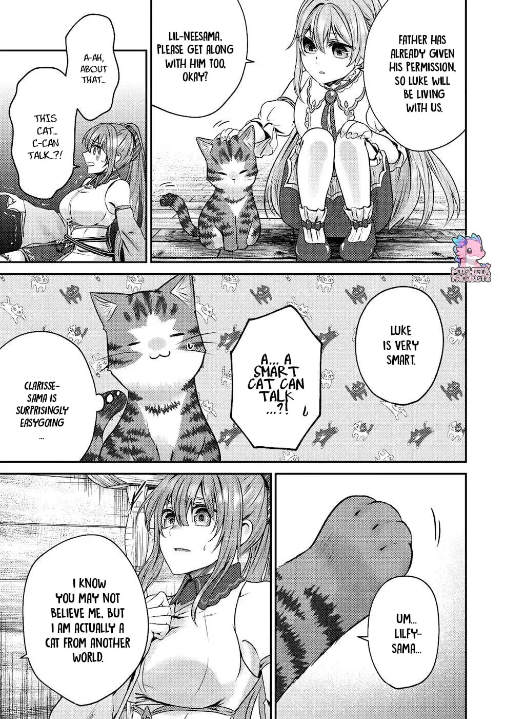I Am a Cat Sorcerer: Luke the Tabby Cat