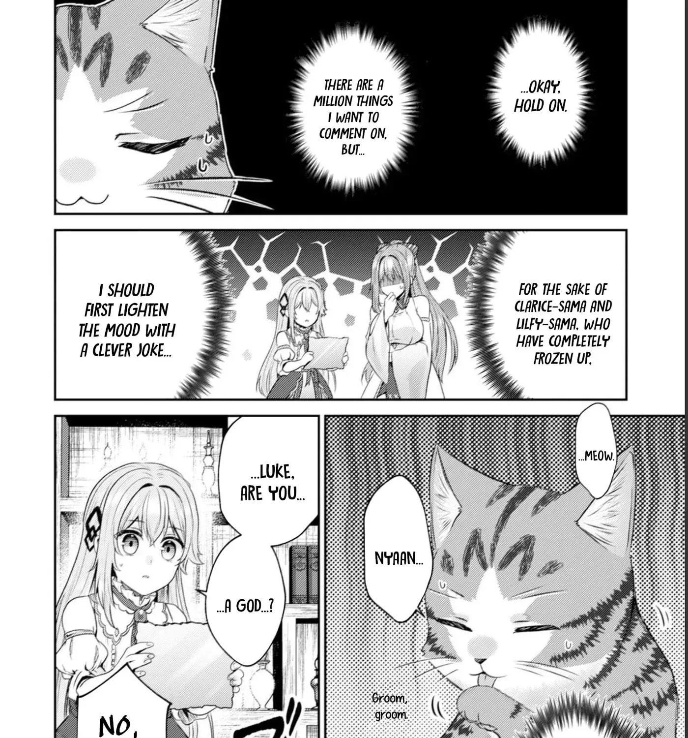 I Am a Cat Sorcerer: Luke the Tabby Cat