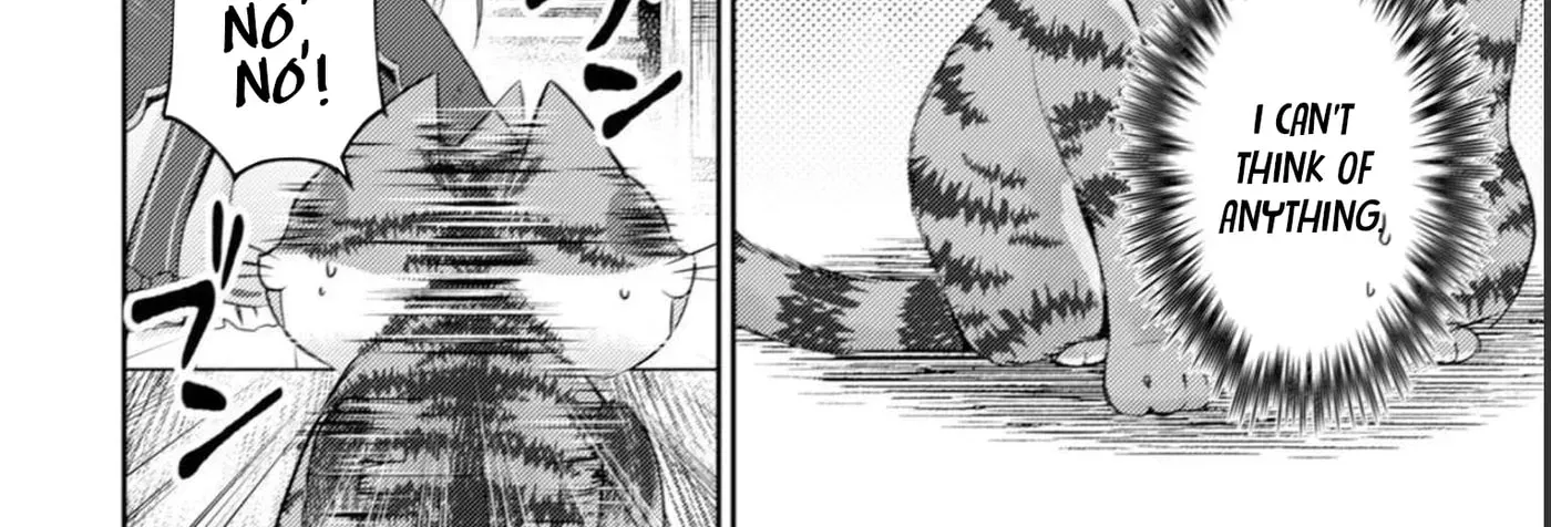 I Am a Cat Sorcerer: Luke the Tabby Cat