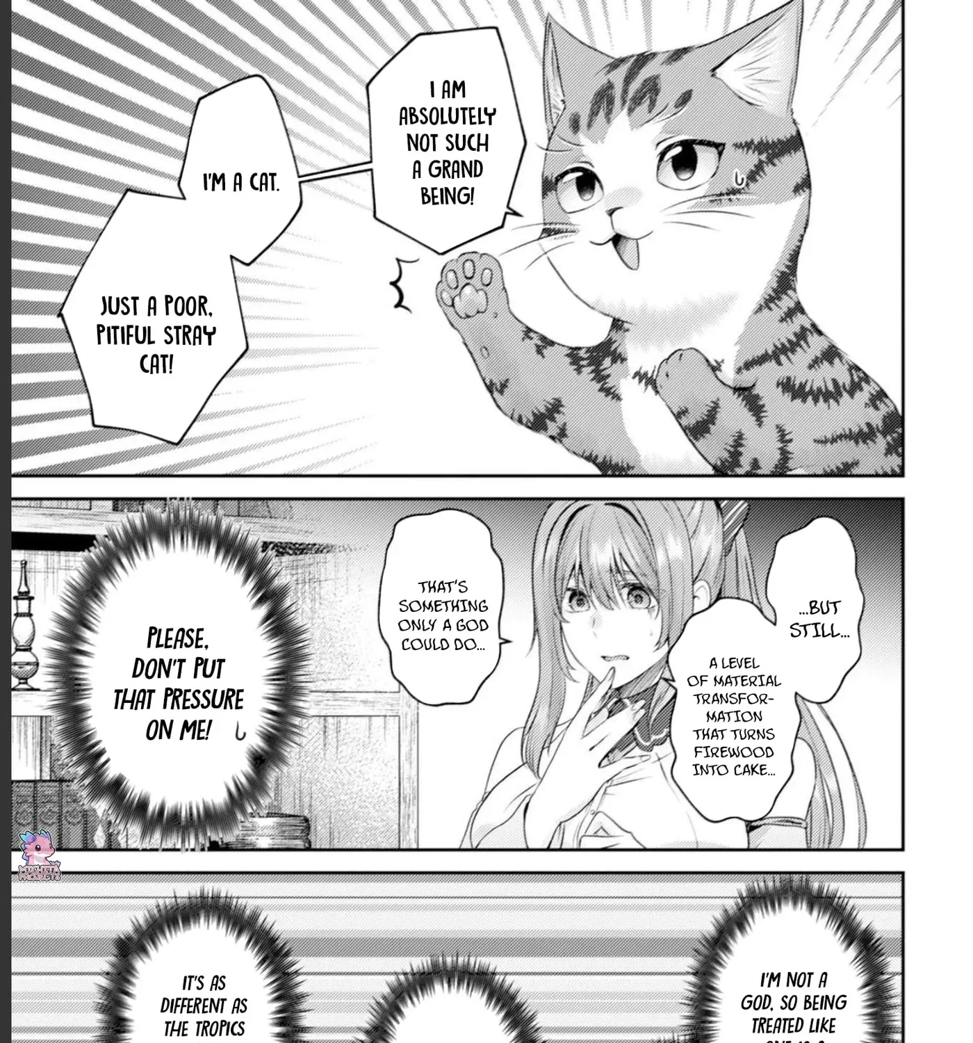 I Am a Cat Sorcerer: Luke the Tabby Cat