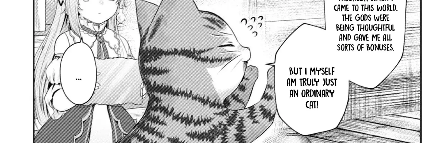 I Am a Cat Sorcerer: Luke the Tabby Cat