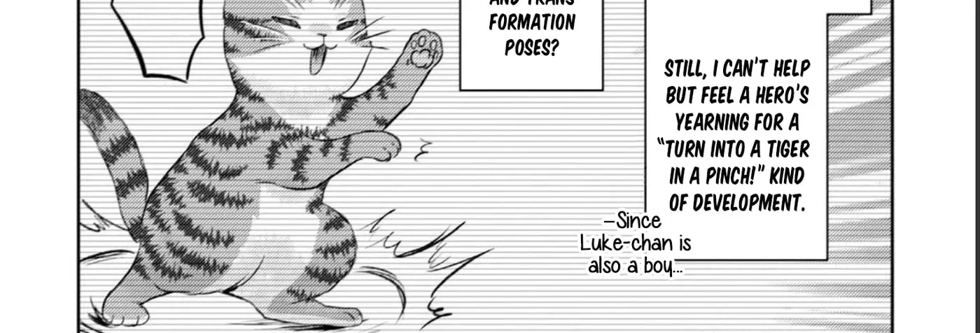 I Am a Cat Sorcerer: Luke the Tabby Cat