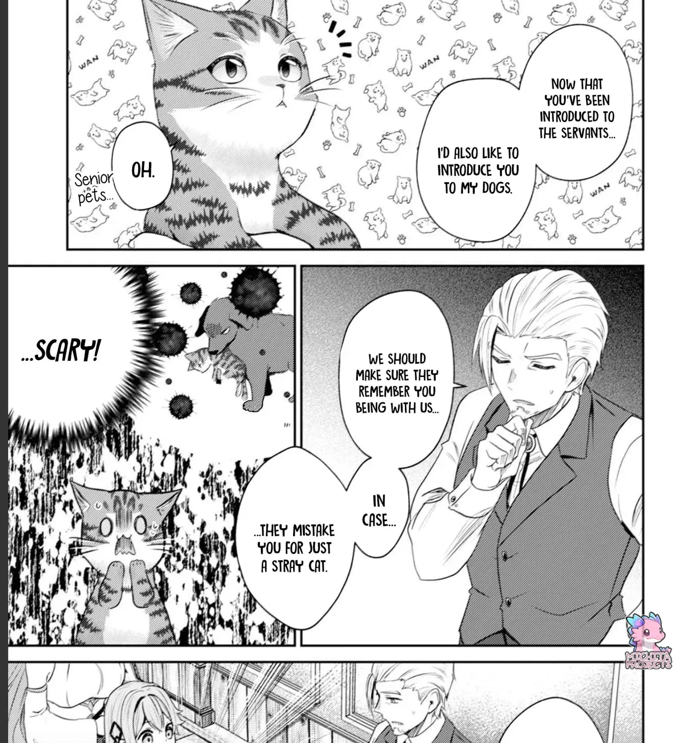 I Am a Cat Sorcerer: Luke the Tabby Cat