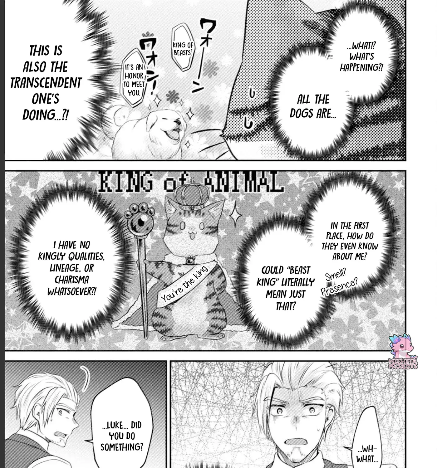 I Am a Cat Sorcerer: Luke the Tabby Cat