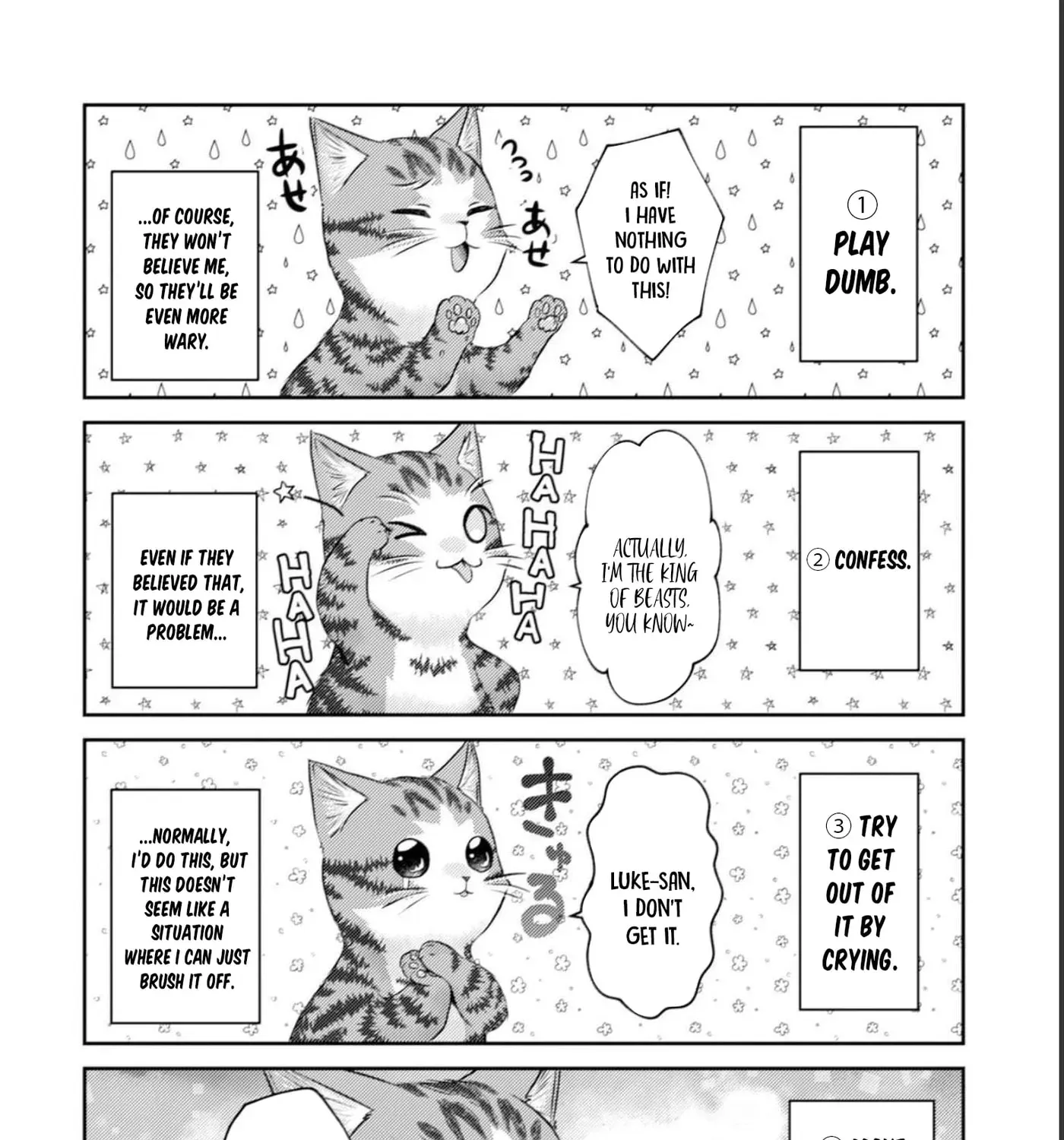 I Am a Cat Sorcerer: Luke the Tabby Cat