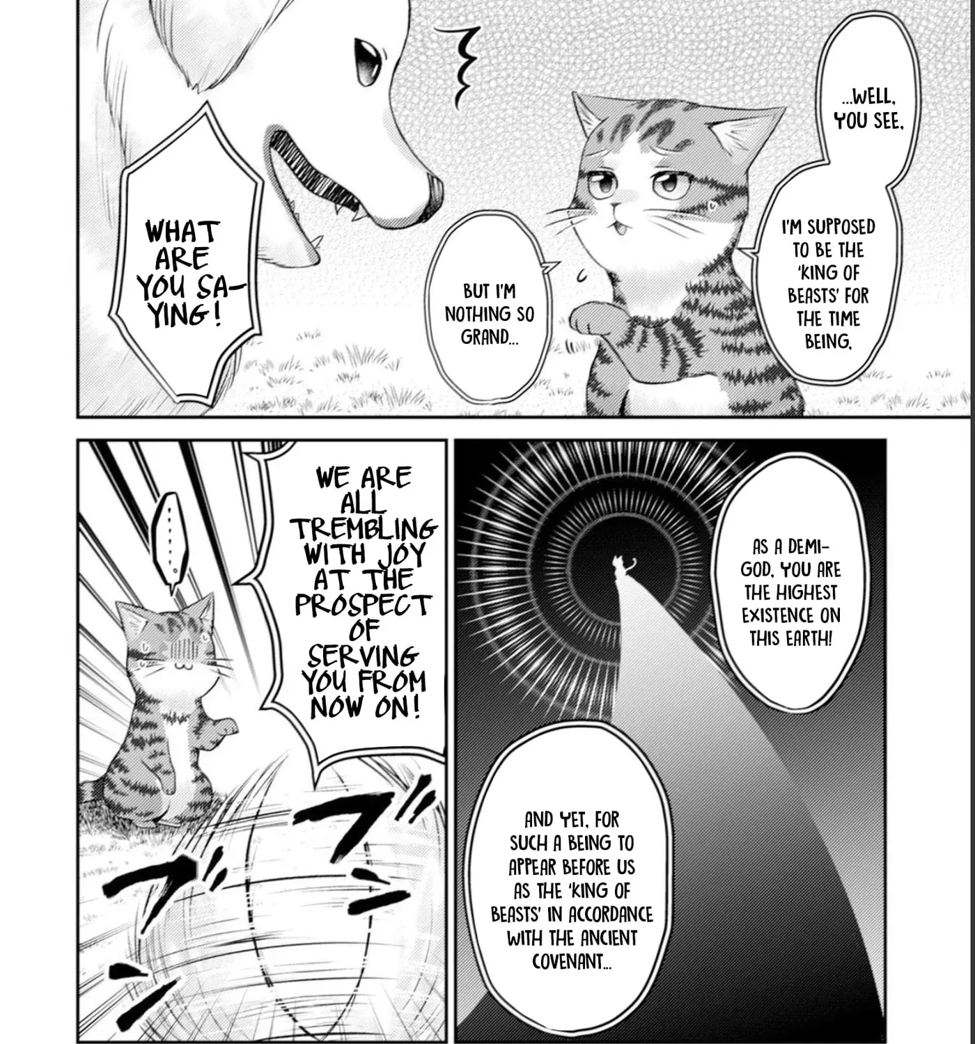 I Am a Cat Sorcerer: Luke the Tabby Cat