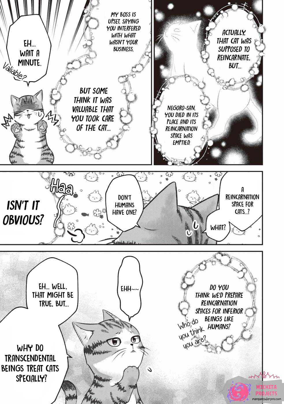 I Am a Cat Sorcerer: Luke the Tabby Cat
