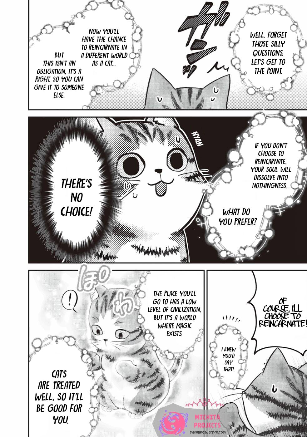 I Am a Cat Sorcerer: Luke the Tabby Cat