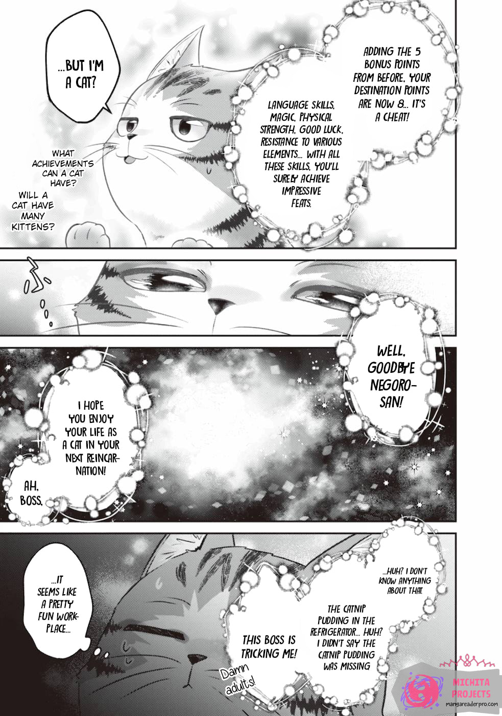 I Am a Cat Sorcerer: Luke the Tabby Cat