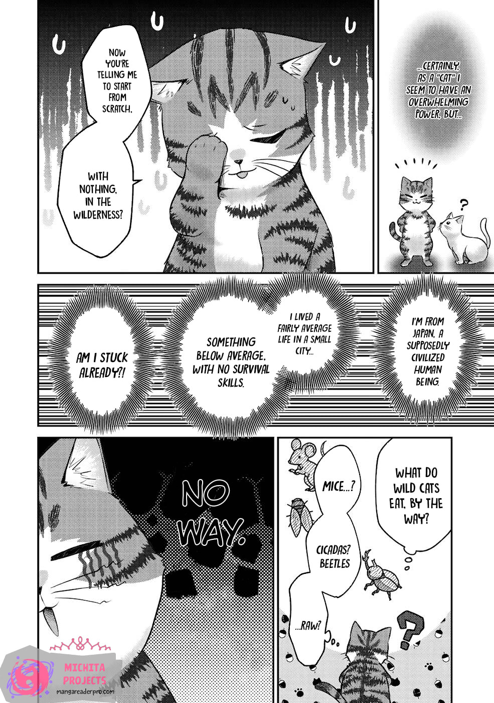 I Am a Cat Sorcerer: Luke the Tabby Cat