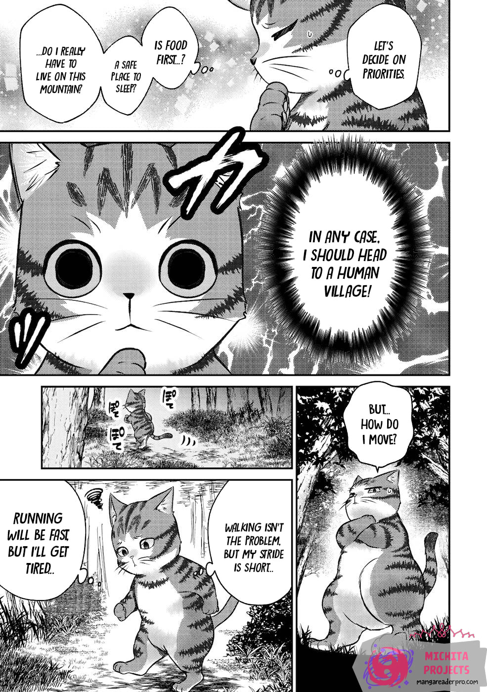 I Am a Cat Sorcerer: Luke the Tabby Cat